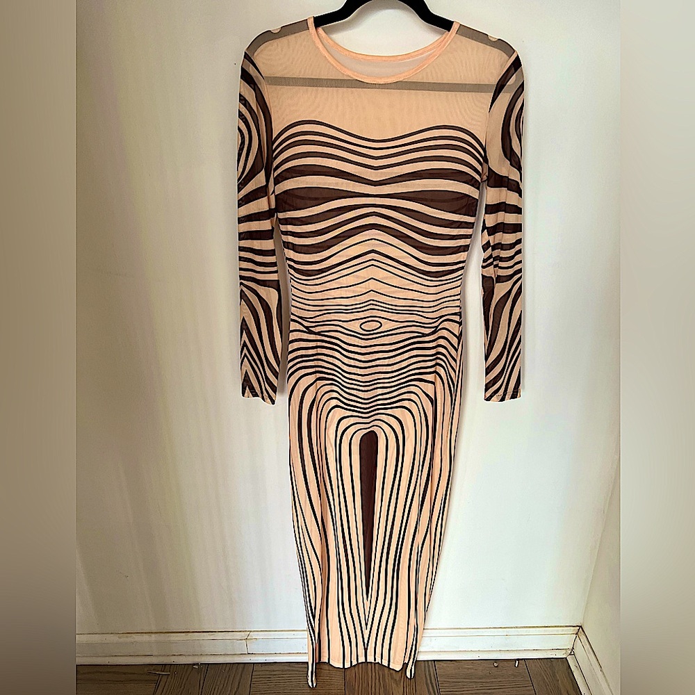 Fashion addicts sheer dress